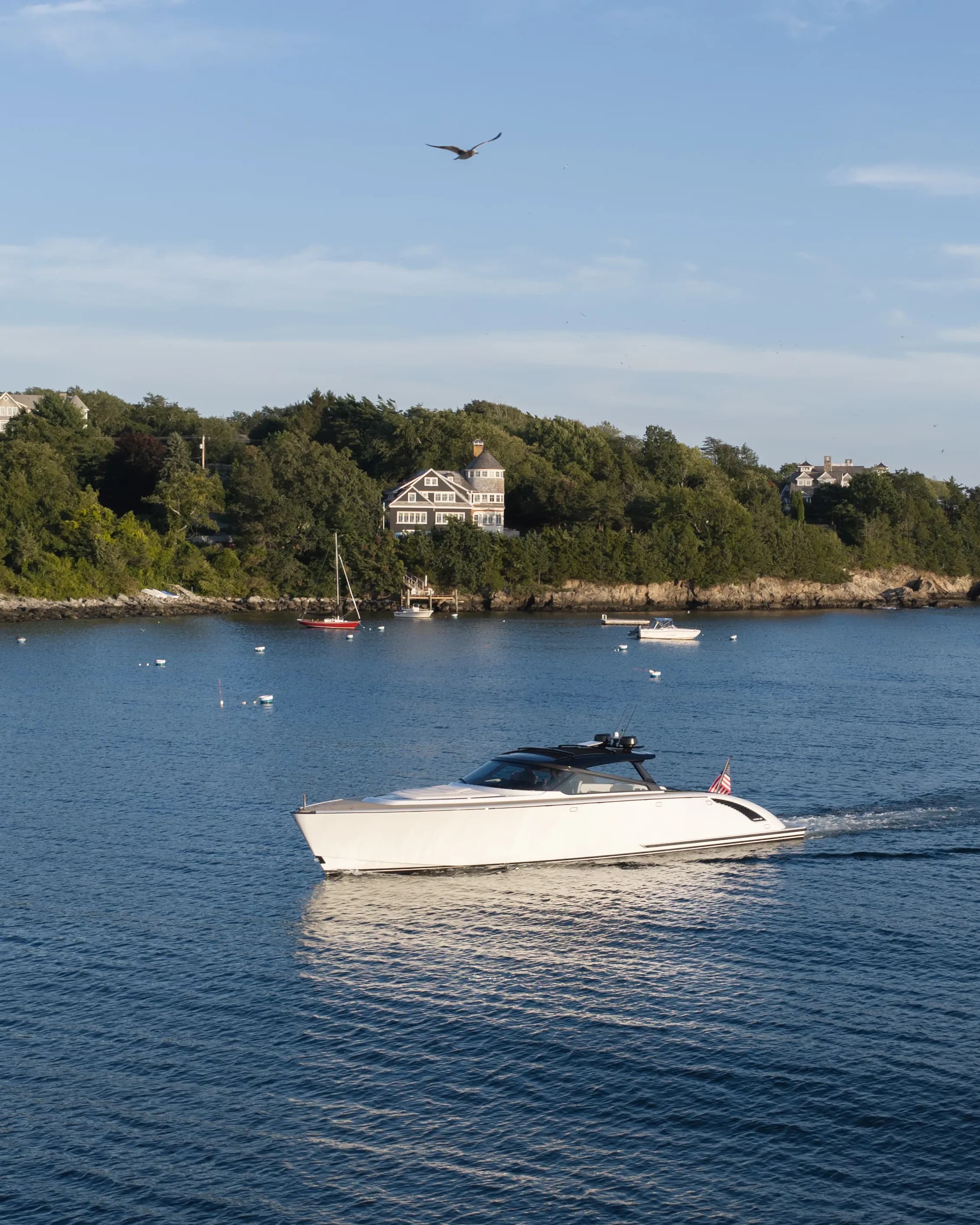 A white yacht cruises on a calm body of water near a tree-covered shore with houses. A bird soars in the blue sky above.