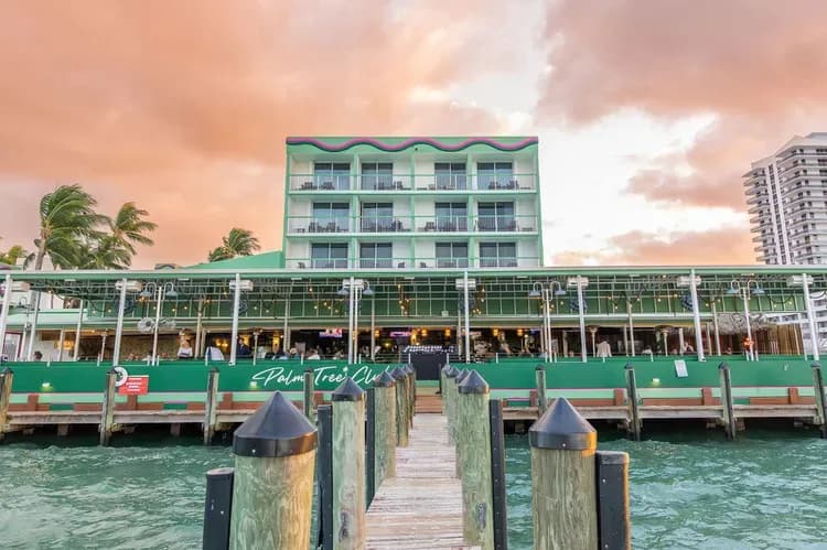 palm-tree-club-miami-wajer sea view