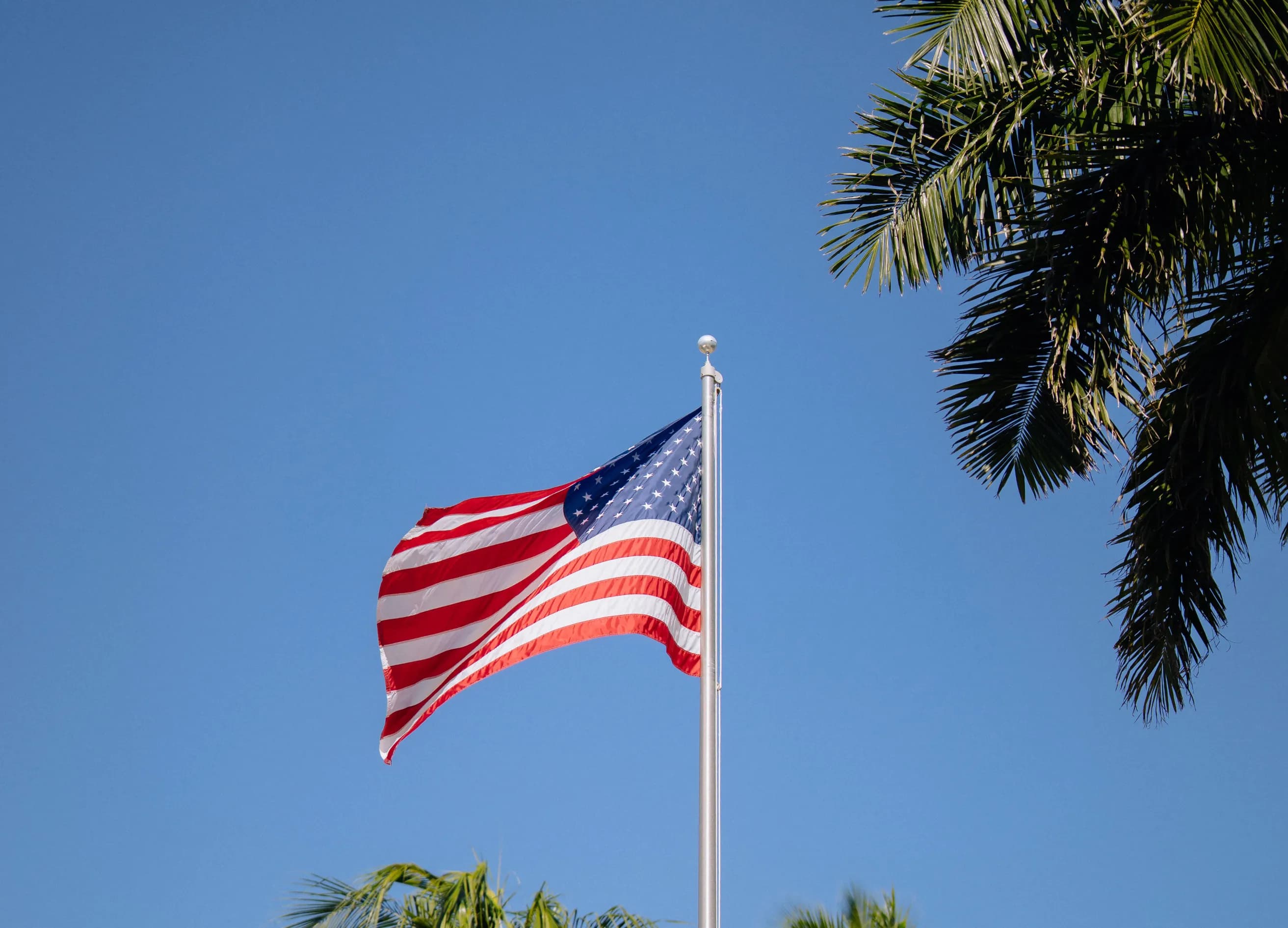 The American flag waves on a pole against a clear blue sky, framed by palm tree leaves.