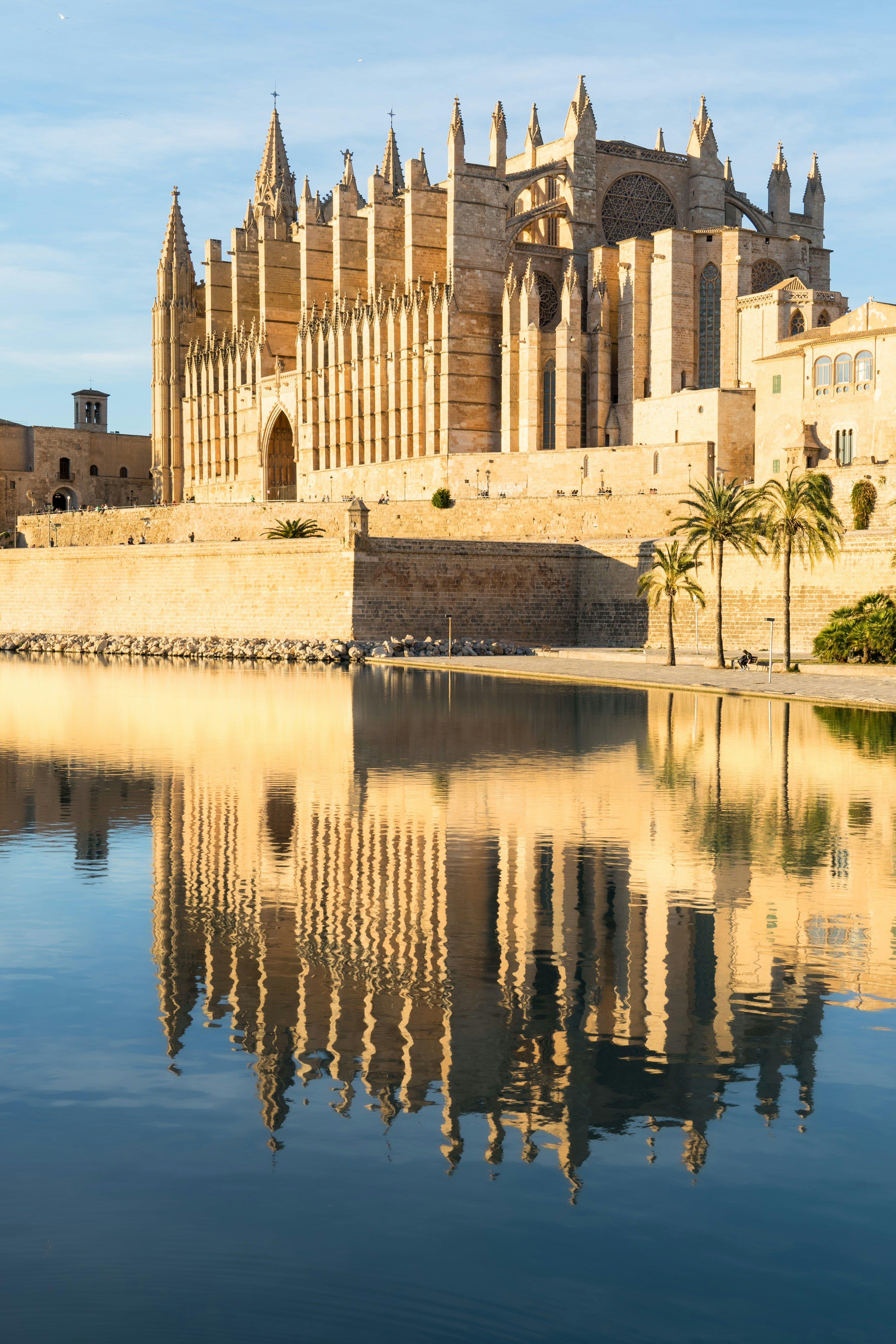 Wajer Travel mallorca cathedral puerto portals